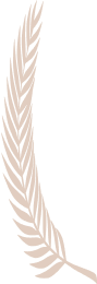 feather-image
