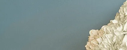 Custom deep blue paint color sample used throughout Jersey City apartment on walls, ceilings, and trim